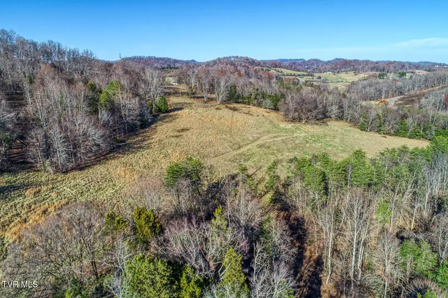 00 Chestnutt Town Road, Rogersville, TN 37857 - #2