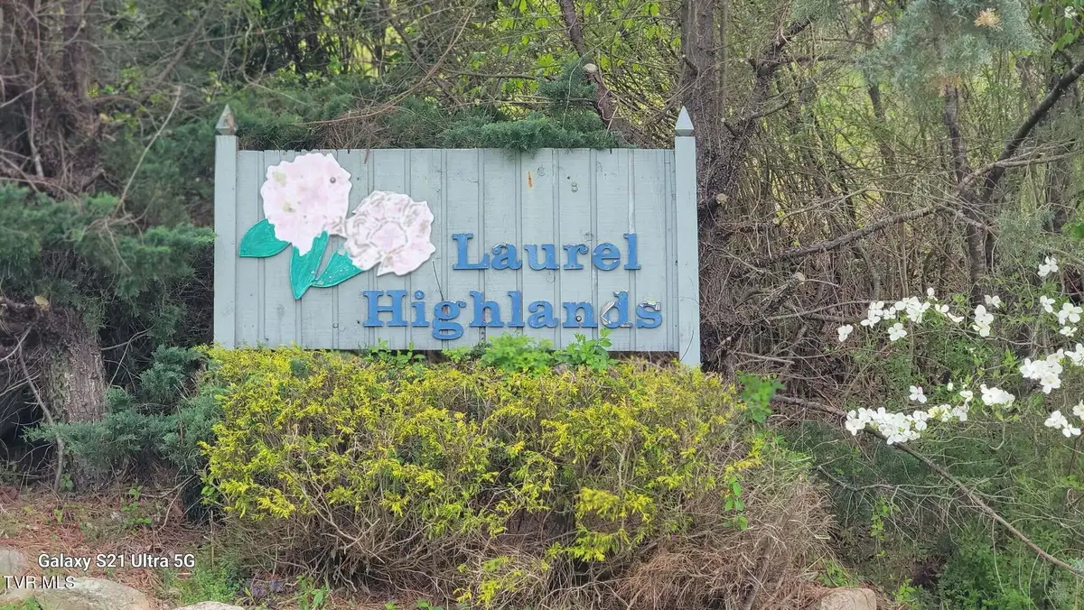 Lot 8 Laurel Highlands Road #Lot 8, Roan Mountain, TN 37687 - #1
