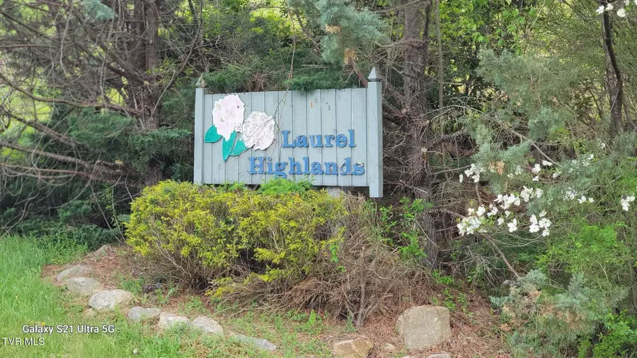 Lot 8 Laurel Highlands Road #Lot 8, Roan Mountain, TN 37687 - #2