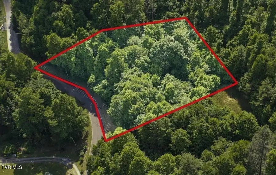 Lot 27 28 Laurel Highlands Road #27-28, Roan Mountain, TN 37687 - #3