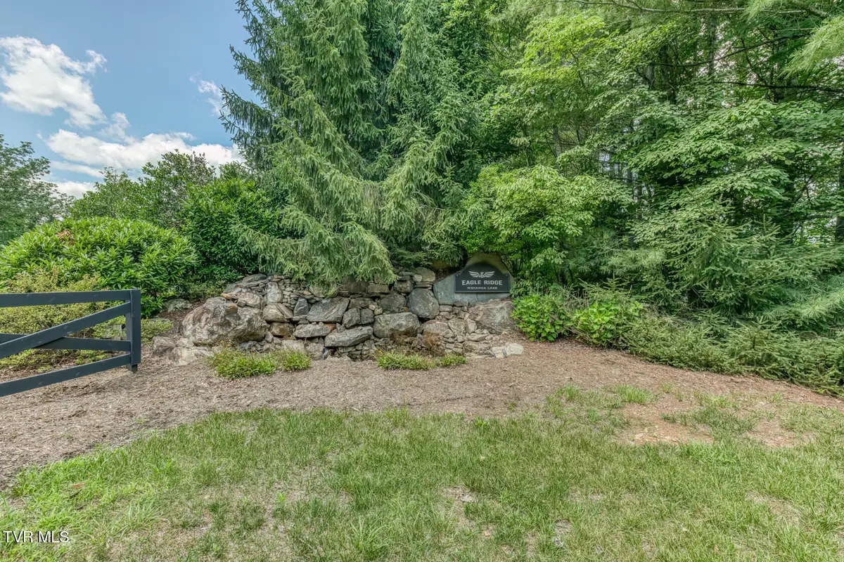 Lot 50 Dry Hill Road, Butler, TN 37640 - #1