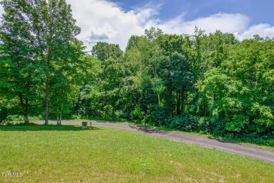 Lot 50 Dry Hill Road, Butler, TN 37640 - #3