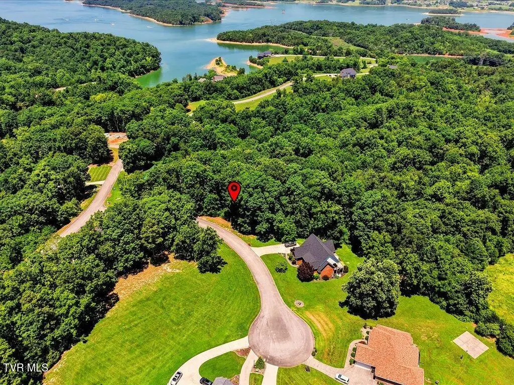 6519 Smoky Mountain Court, Russellville, TN 37860 - #1