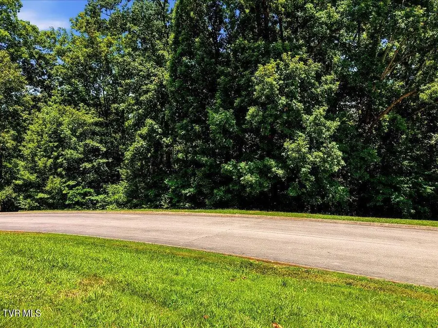 6519 Smoky Mountain Court, Russellville, TN 37860 - #3