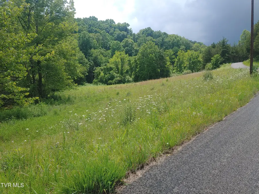 000 War Creek Road, Eidson, TN 37731 - #2