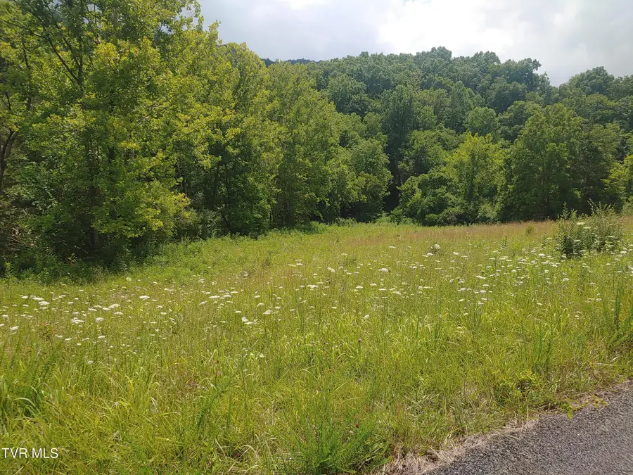 000 War Creek Road, Eidson, TN 37731 - #3