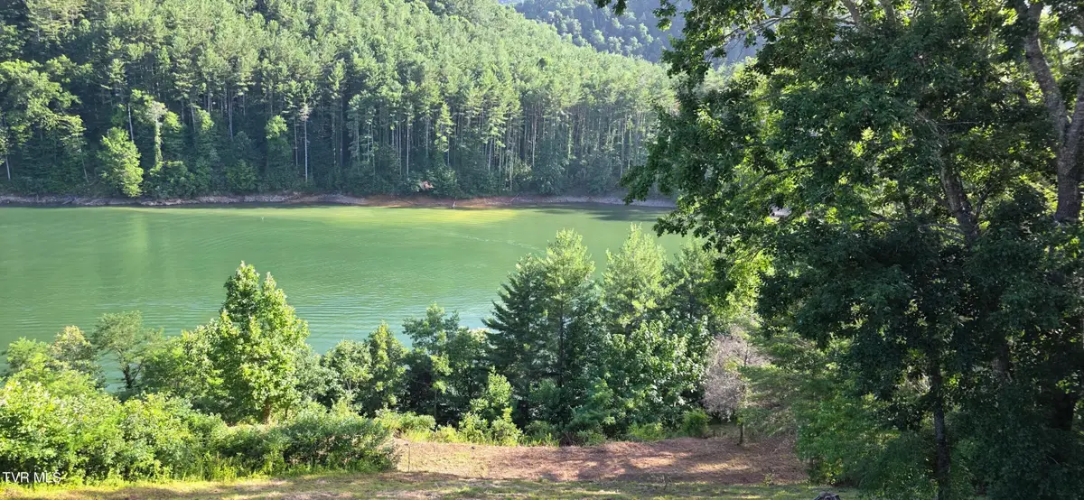 Tbd Lake Hill, Butler, TN 37640 - #1