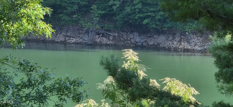 Tbd Lake Hill, Butler, TN 37640 - #3