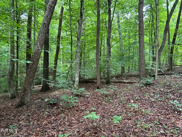223 West Snowflake Road, Surgoinsville, TN 37873