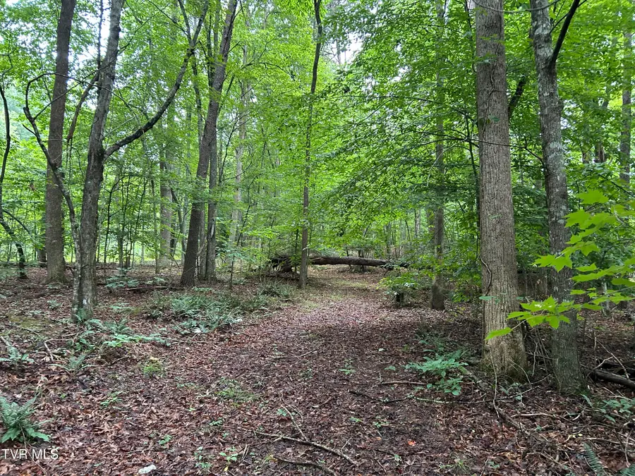 223 West Snowflake Road, Surgoinsville, TN 37873 - #3