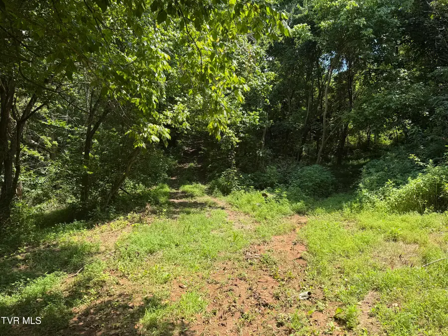 00 Old Mine Road, Greeneville, TN 37745 - #3