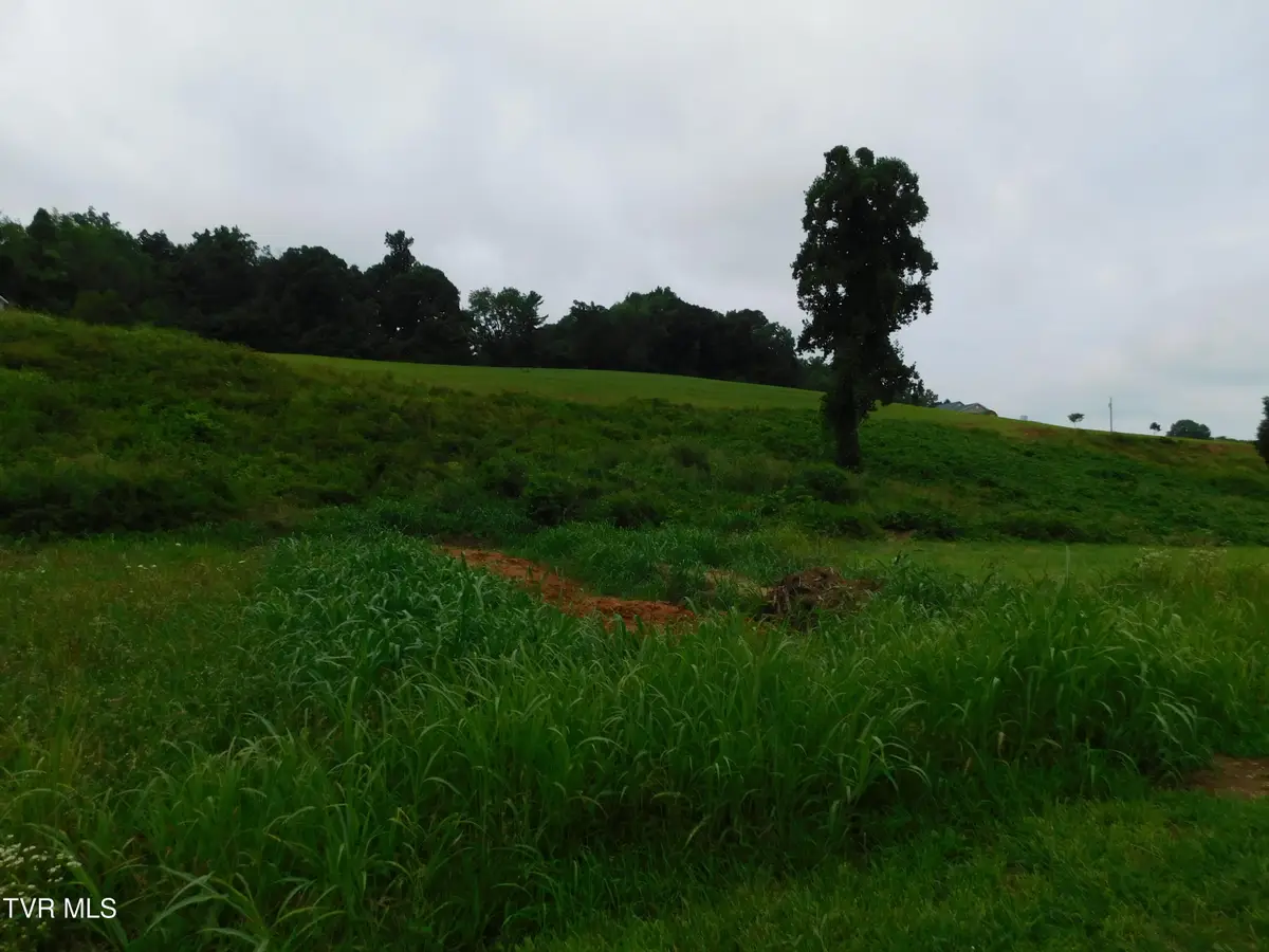 0 Mt Carmel Road, Mosheim, TN 37818 - #1