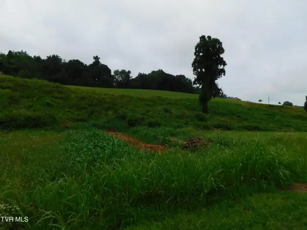 0 Mt Carmel Road, Mosheim, TN 37818