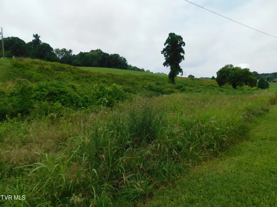 0 Mt Carmel Road, Mosheim, TN 37818 - #2