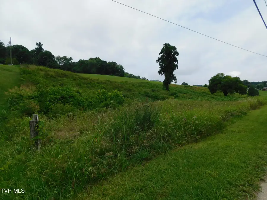 0 Mt Carmel Road, Mosheim, TN 37818 - #3