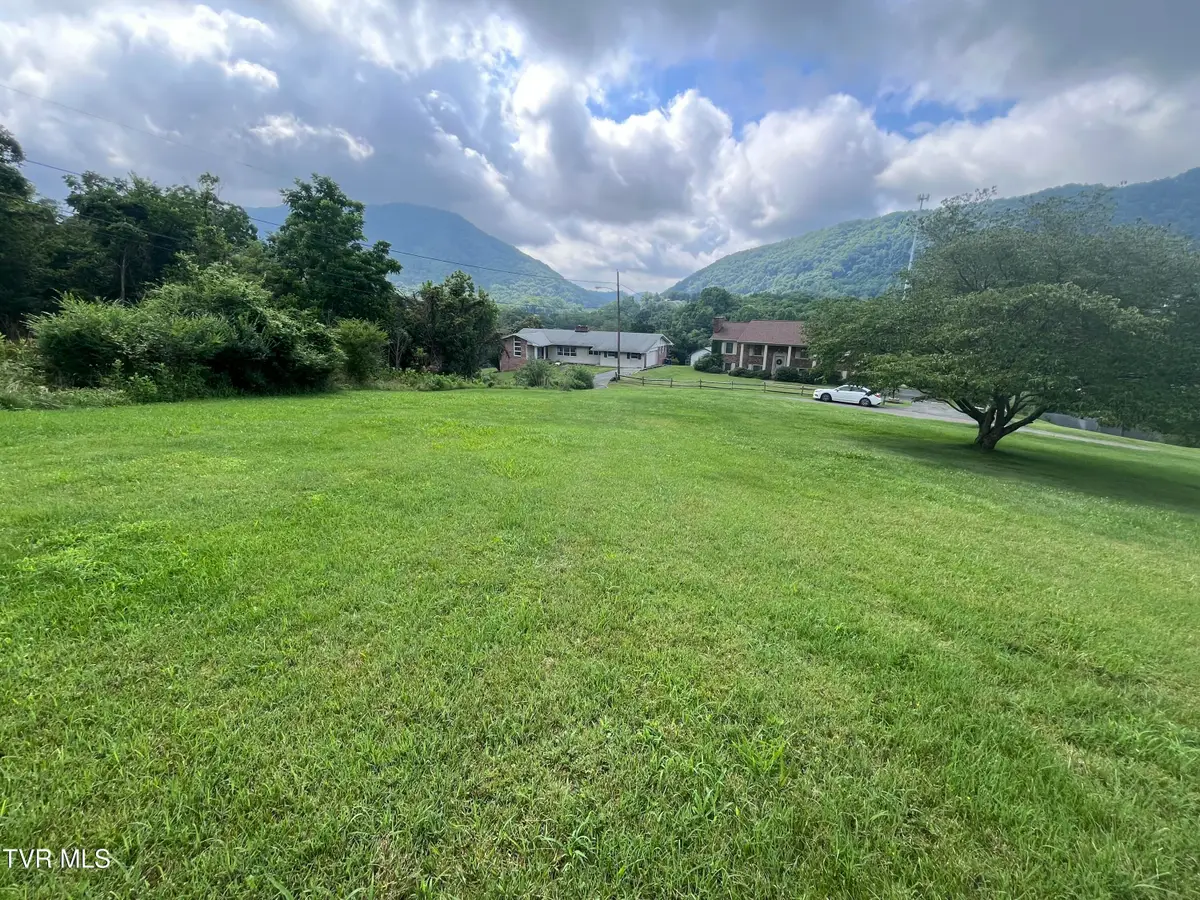 Tbd Anita Avenue, Gate City, VA 24251 - #1