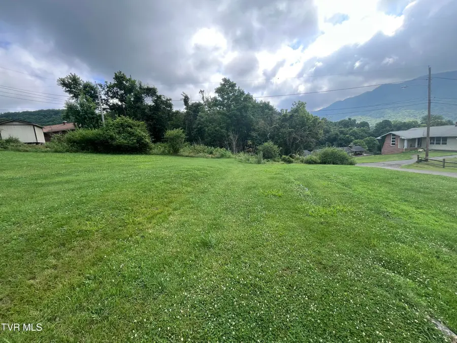 Tbd Anita Avenue, Gate City, VA 24251 - #2
