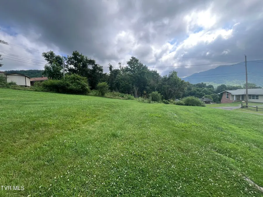 Tbd Anita Avenue, Gate City, VA 24251 - #3