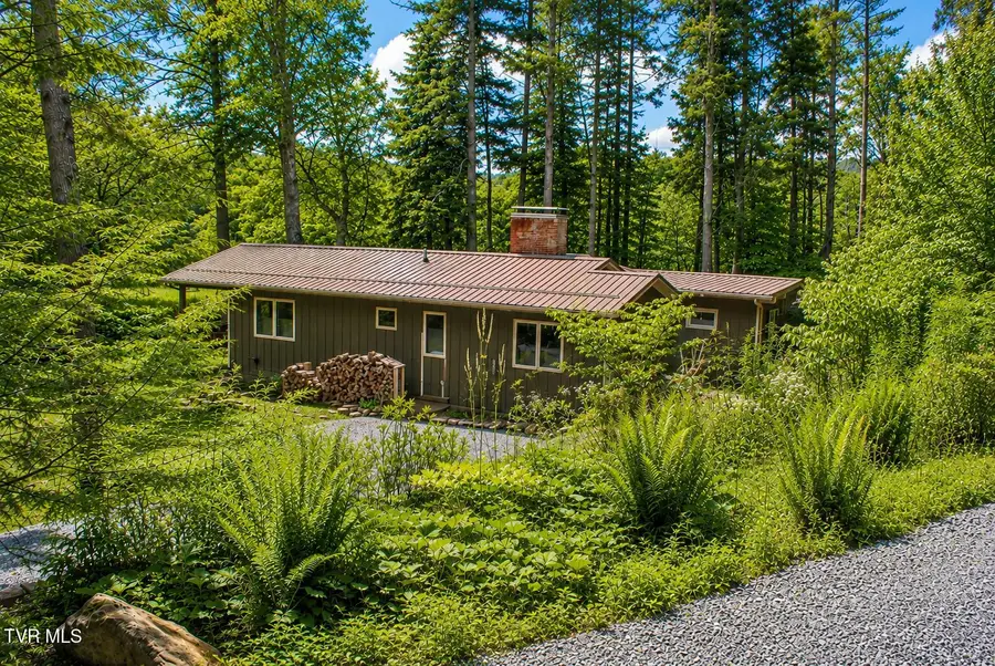 282 Ripshin Lake Road, Roan Mountain, TN 37687 - #2