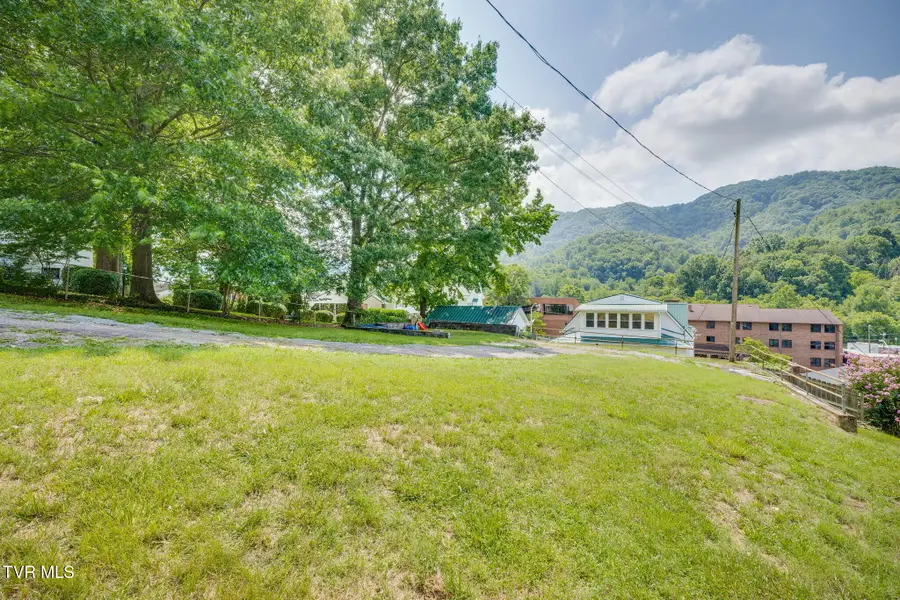 316 West Jackson Street, Gate City, VA 24251 - #3