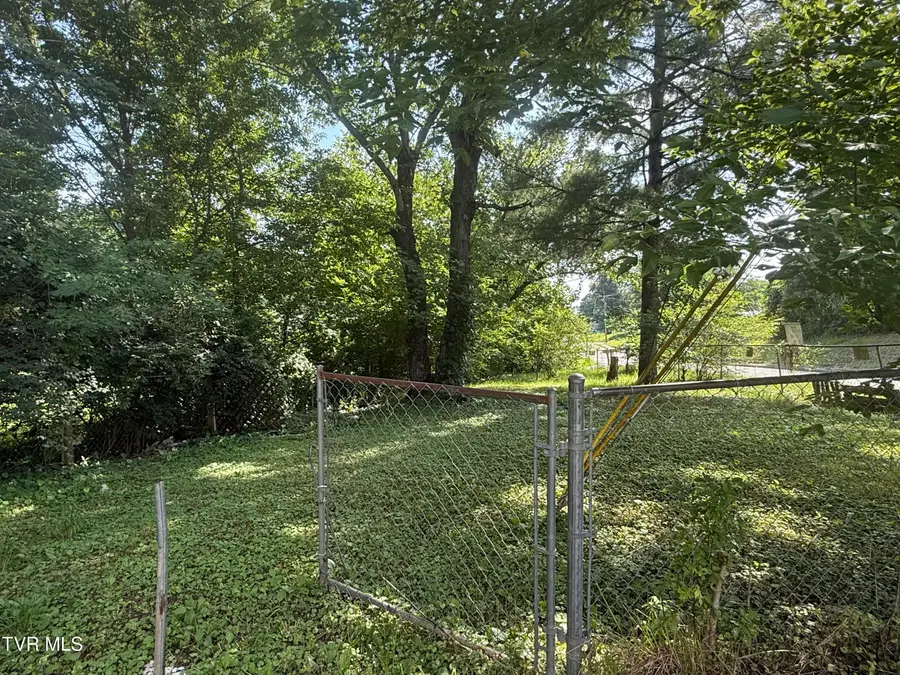 1506 King Springs Road, Johnson City, TN 37601 - #3