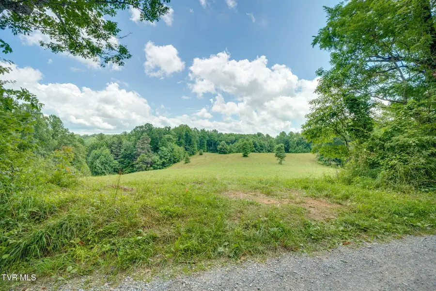 0 Walnut Mtn Road, Roan Mountain, TN 37687 - #2