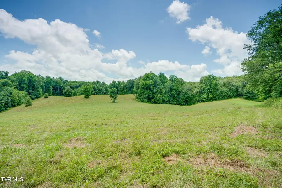 0 Walnut Mtn Road, Roan Mountain, TN 37687 - #3