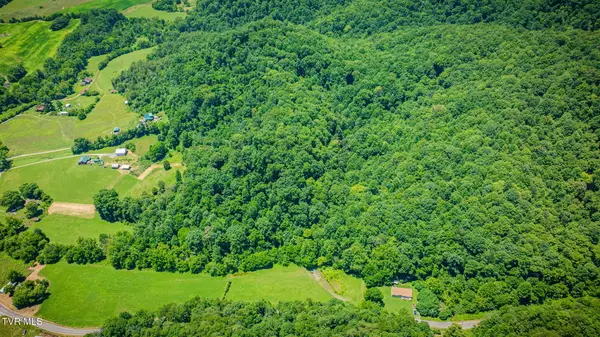 Tbd Hickory Cove Road, Rogersville, TN 37857