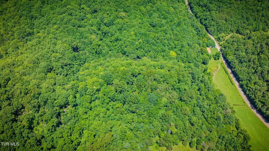 Tbd Hickory Cove Road, Rogersville, TN 37857 - #3