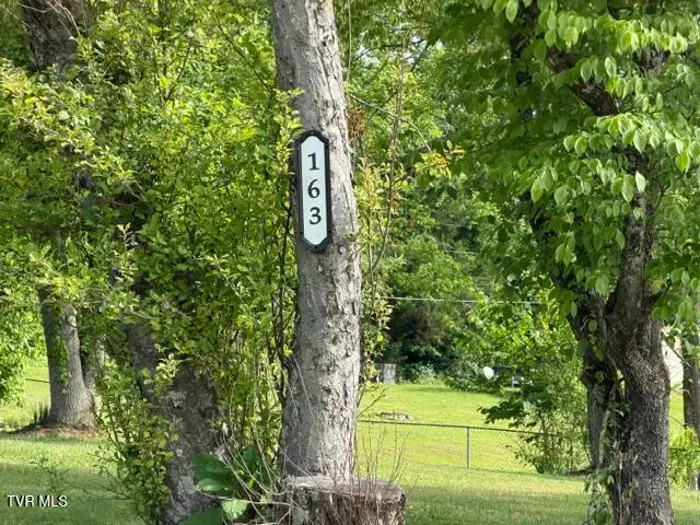 163 Warren Drive, Big Stone Gap, VA 24219 - #2