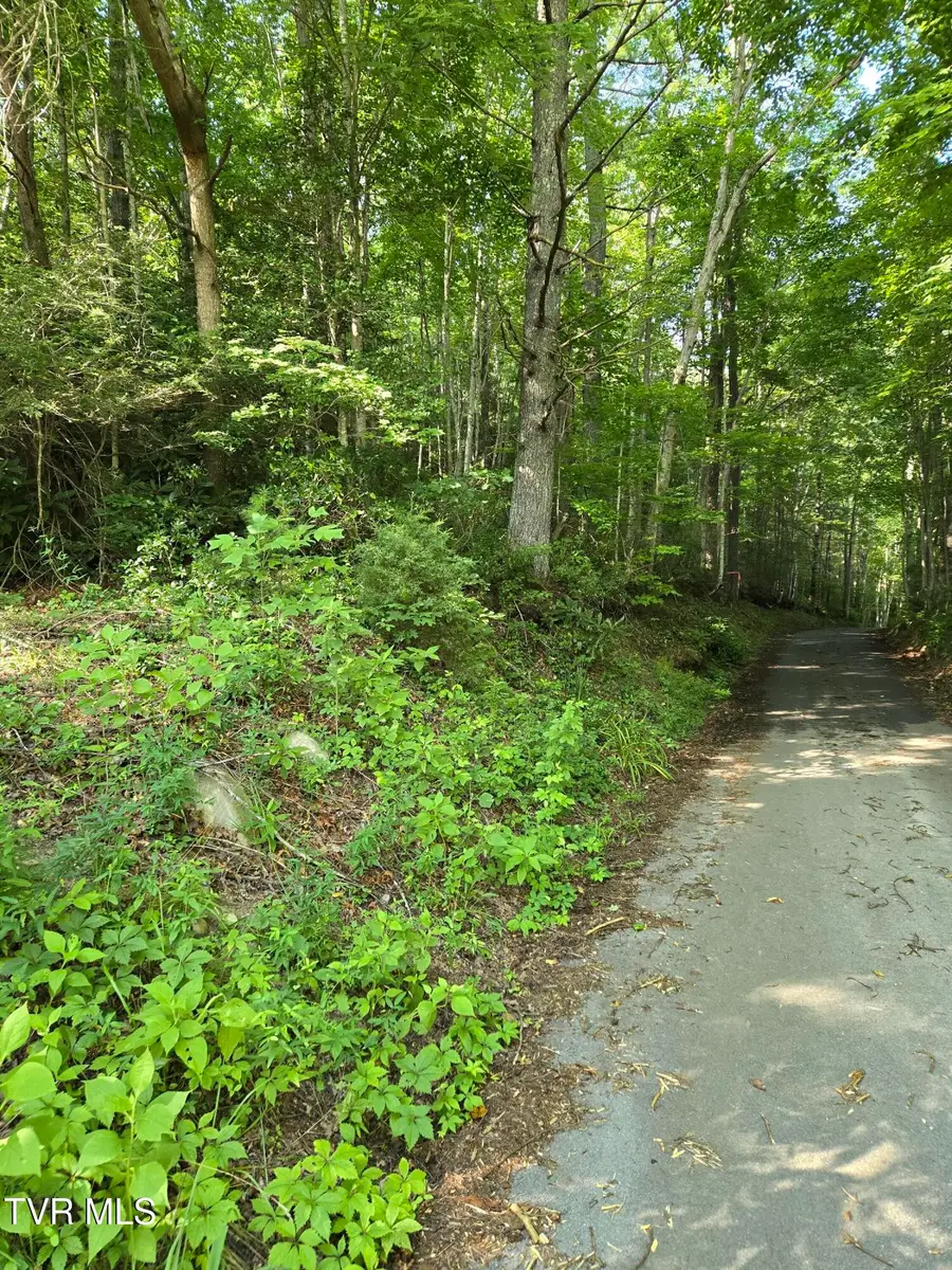 Tbd Chandler Circle, Greeneville, TN 37743 - #2