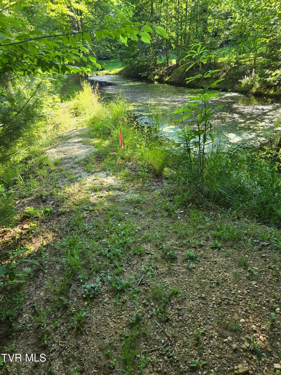 Tbd Chandler Circle, Greeneville, TN 37743 - #3