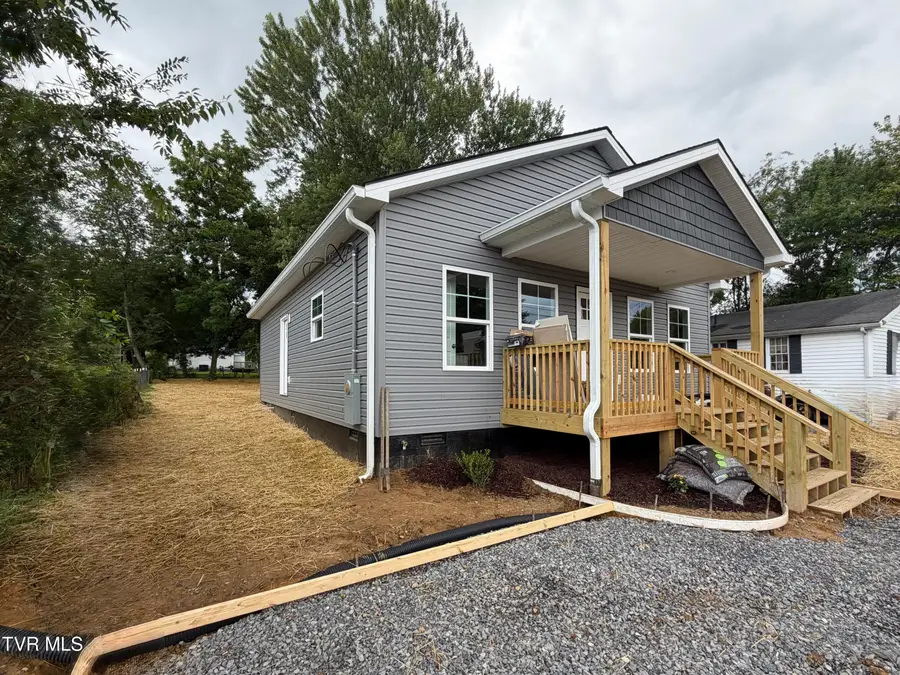 312 Dyer Street, Johnson City, TN 37601 - #3