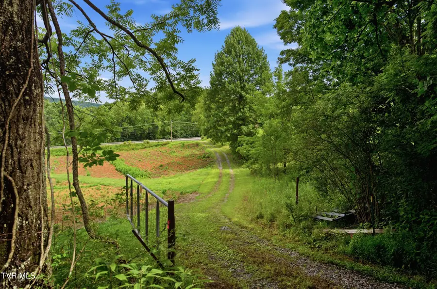 125 Dale Blevins Lane, Roan Mountain, TN 37687 - #2