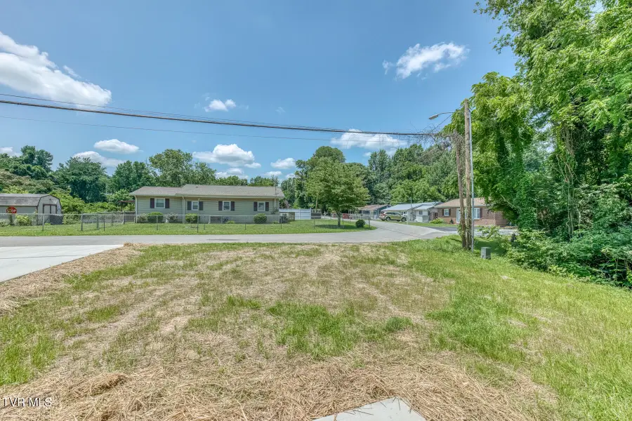 124 Hilo Drive, Johnson City, TN 37604 - #3