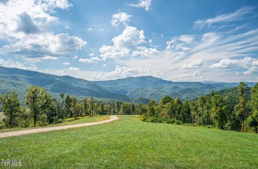 Lot 85 Summerfield Drive, Butler, TN 37640 - #2