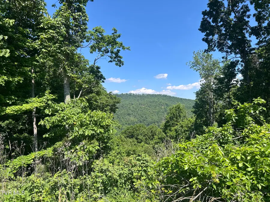 Lot 85 Summerfield Drive, Butler, TN 37640 - #3