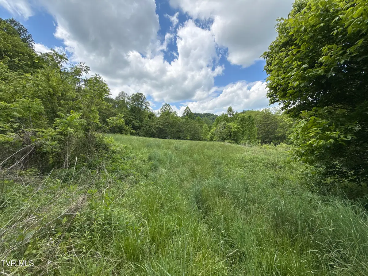 429ac Tbd Fisher Valley Road, Eidson, TN 37731 - #1