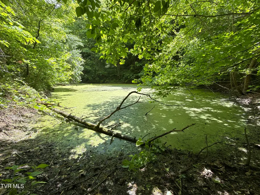429ac Tbd Fisher Valley Road, Eidson, TN 37731 - #3