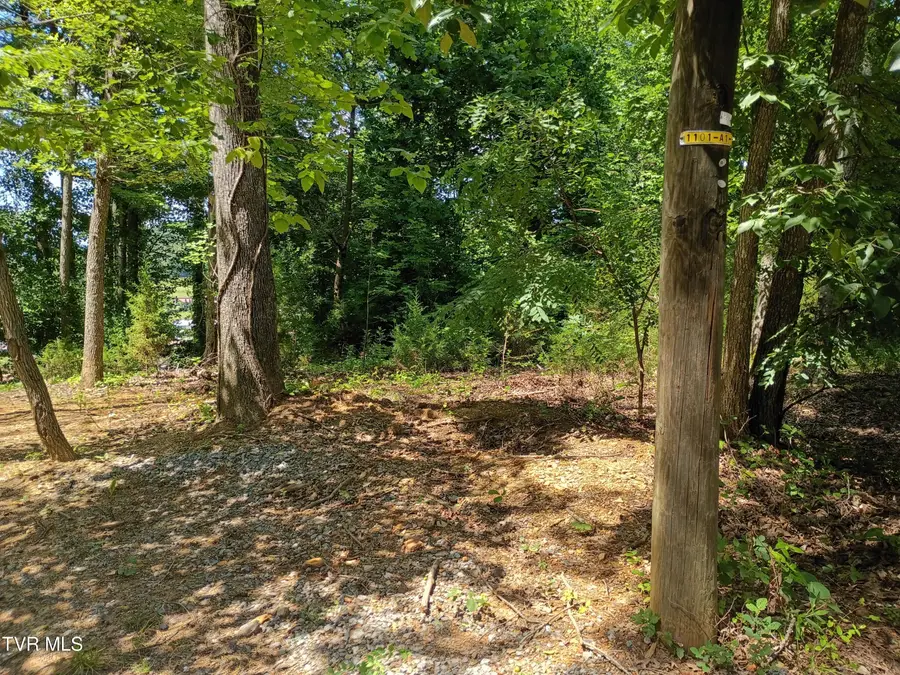 7 Oaks Drive, Mount Carmel, TN 37645 - #3