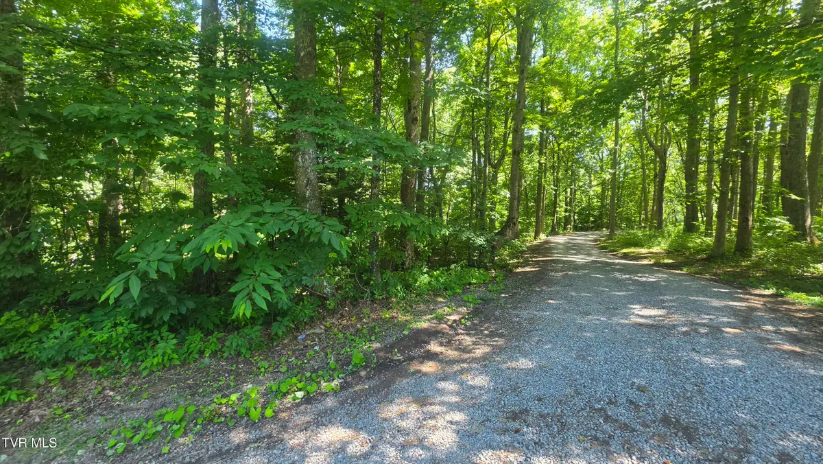 Tbd Forest Road, Coeburn, VA 24230 - #1
