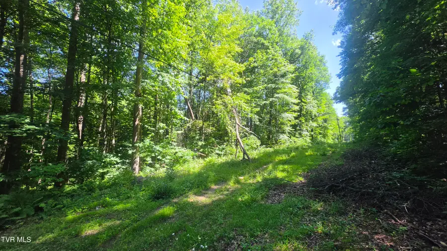 Tbd Forest Road, Coeburn, VA 24230 - #3