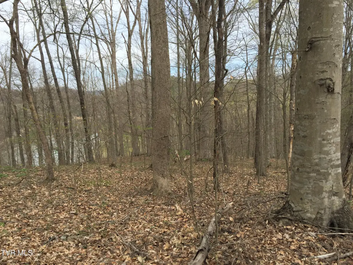00 Horseshoe Bend Road, Rogersville, TN 37857 - #1