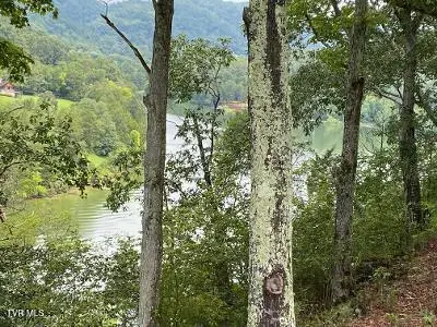 00 Horseshoe Bend Road, Rogersville, TN 37857 - #2