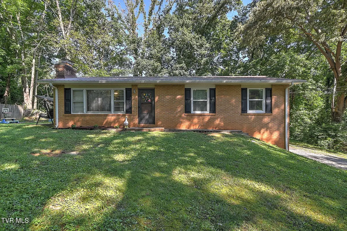 119 Lynnwood Drive, Gray, TN 37615 - #1