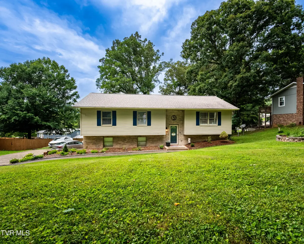117 Kings Mountain Drive, Church Hill, TN 37642 - #1