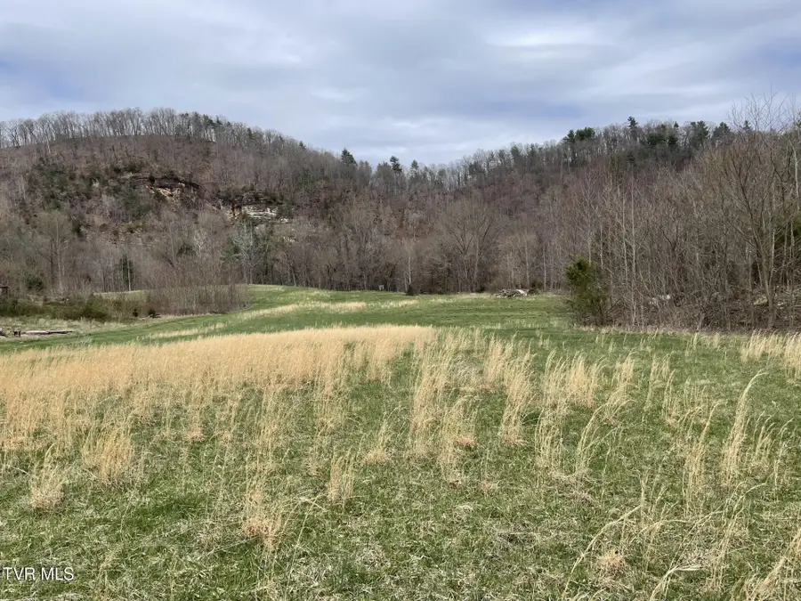 461 Wilbur Dam Road, Elizabethton, TN 37643 - #3