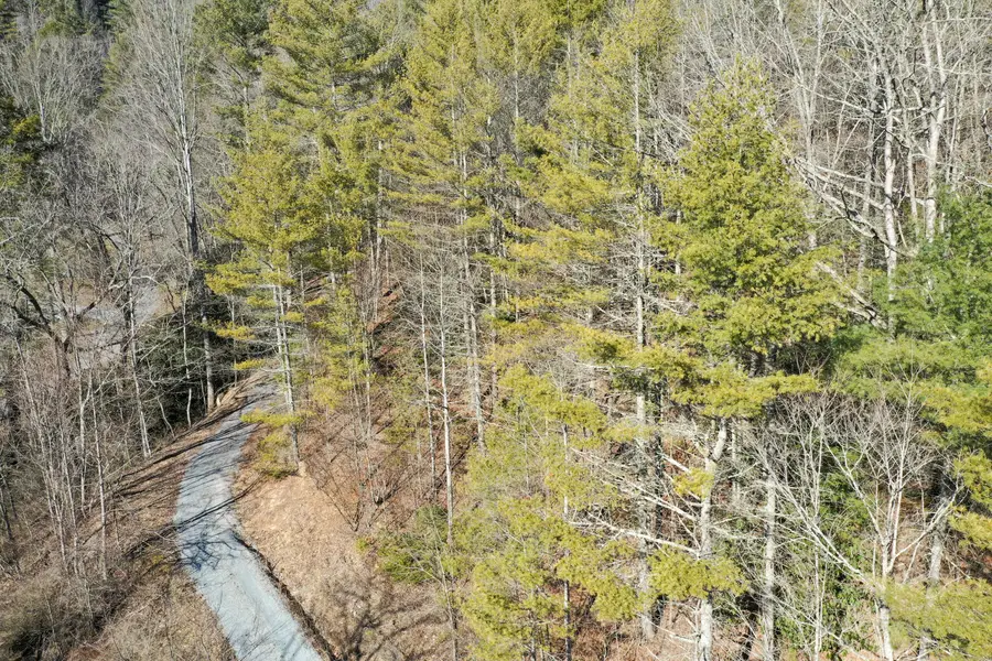 156 Rock Quarry Road, Roan Mountain, TN 37687 - #3