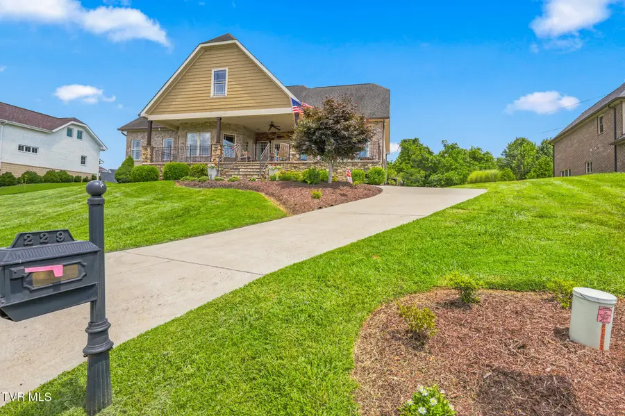 229 Forest Lane N, Blountville, TN 37617 - #2