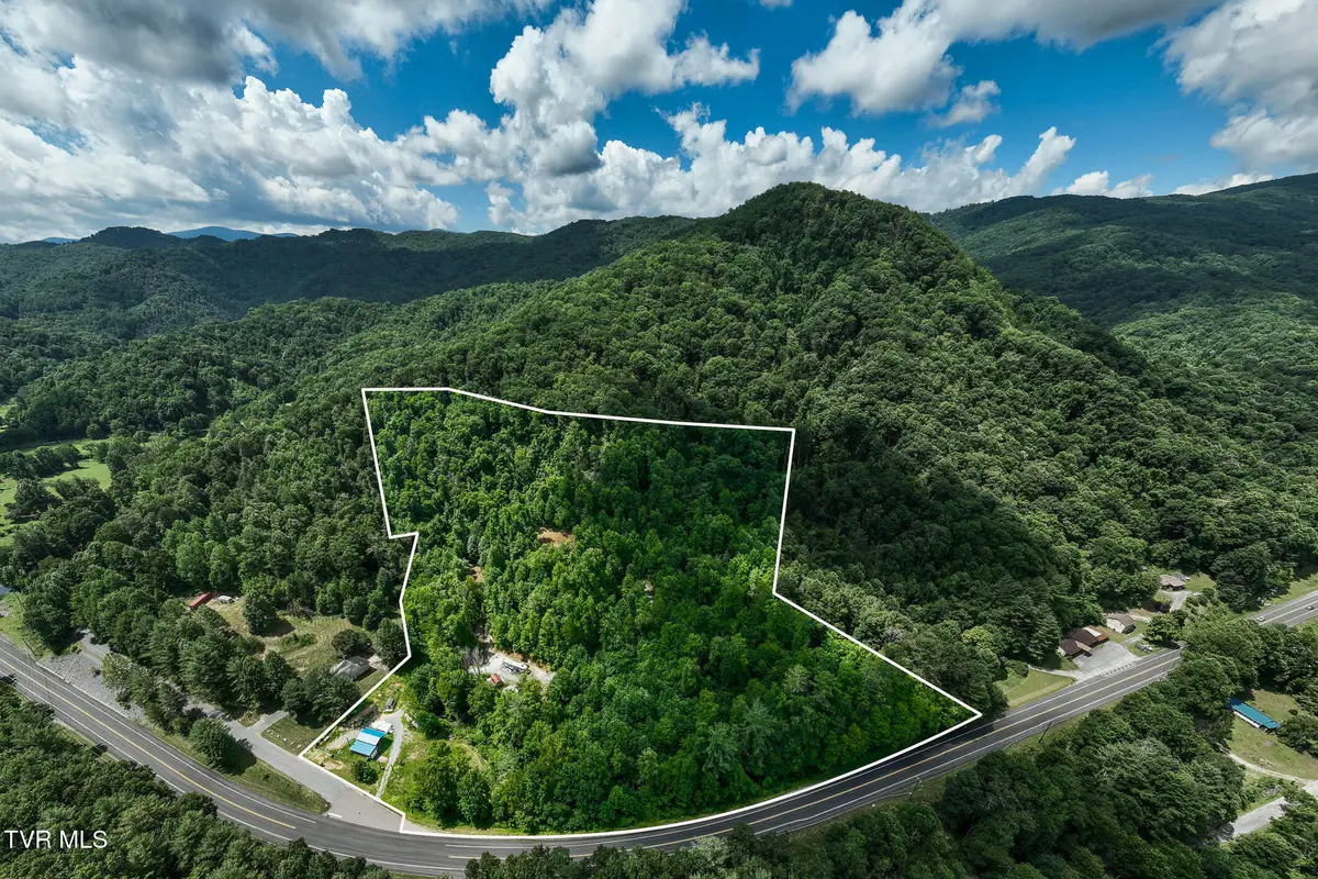 104 Crabtree Road, Roan Mountain, TN 37687 - #1